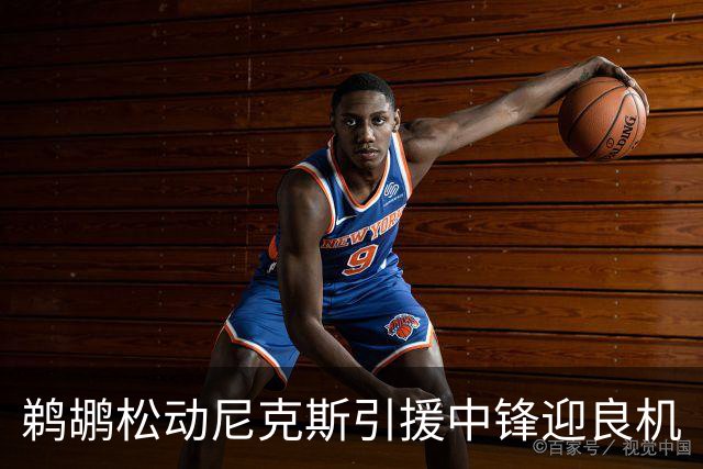 鹈鹕松动尼克斯引援中锋迎良机